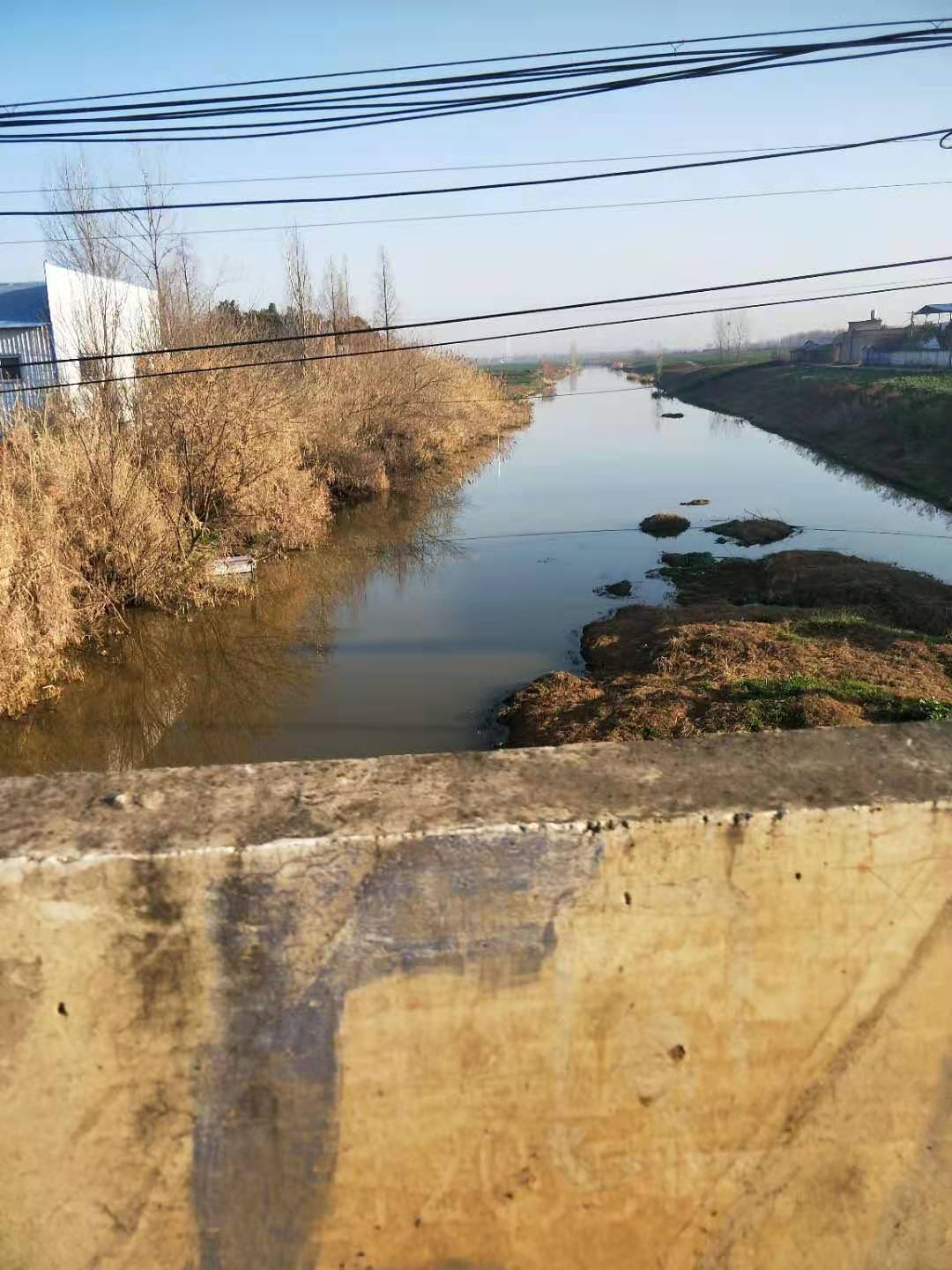 原翟湾村村长反映白河水质很差