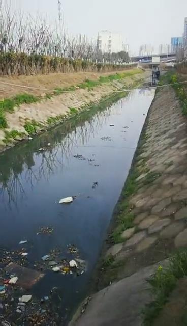 我会第二环保小分队钟启文巡查调研唐白河