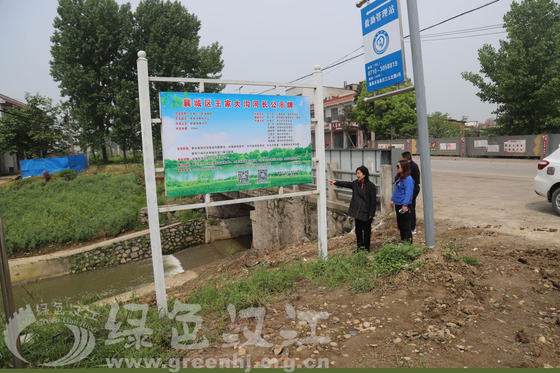 我会到王家大沟进行实地调研