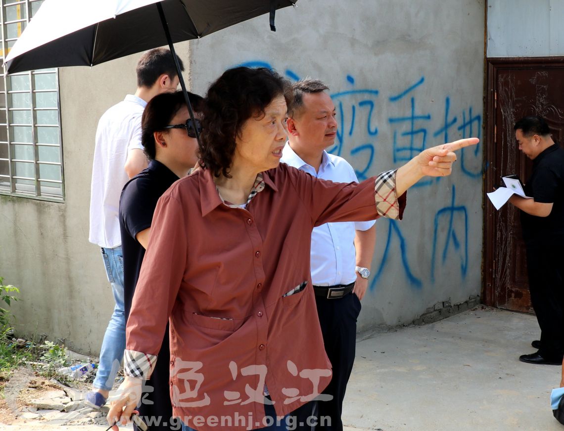 我会前往滚河边养猪场进行实地调研