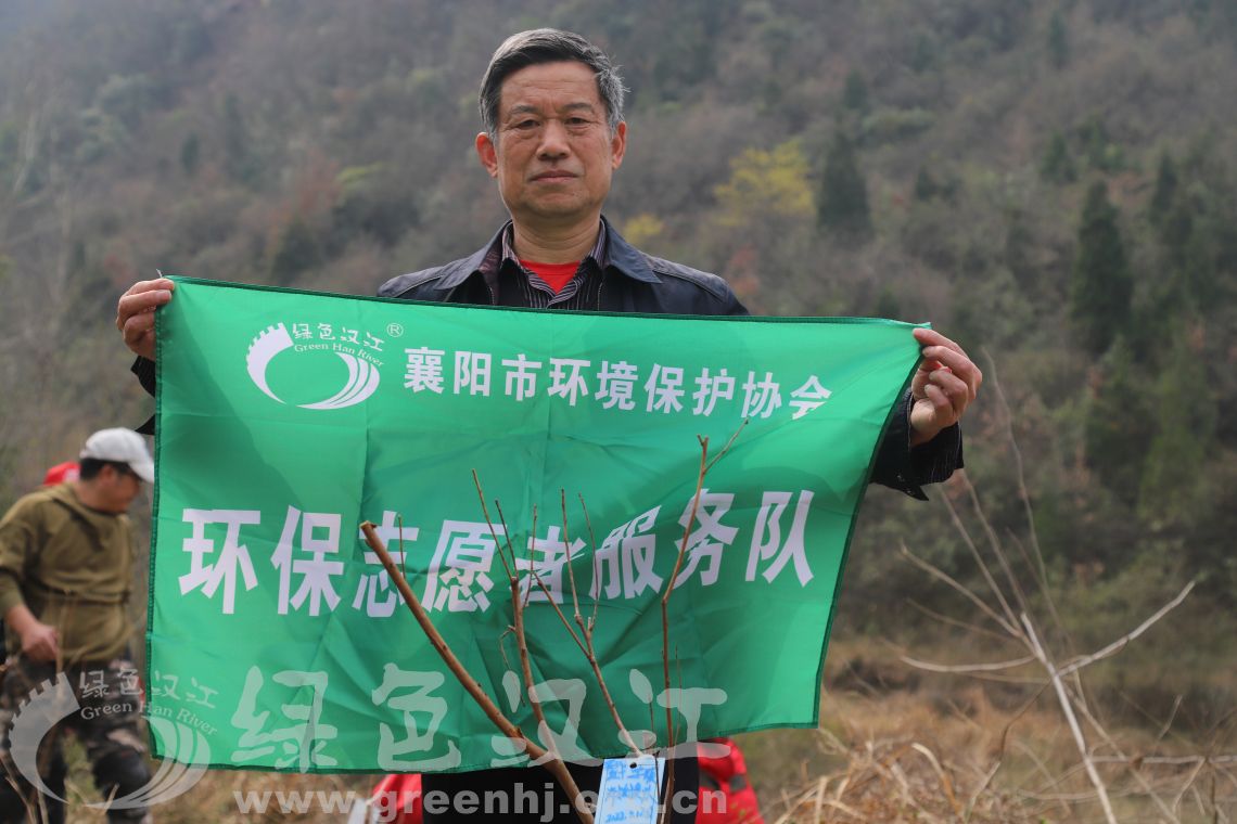 我会参加襄阳市志愿者组织的植树活动