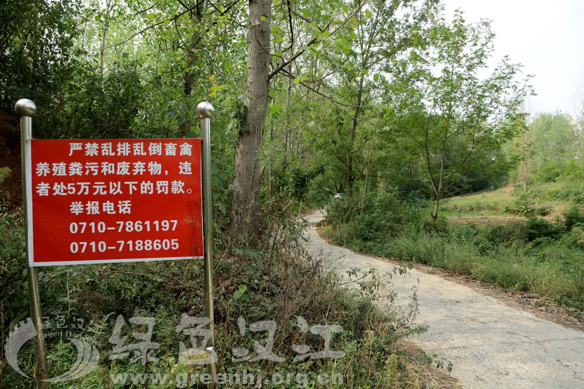 我会到谷城庙滩镇进行调研