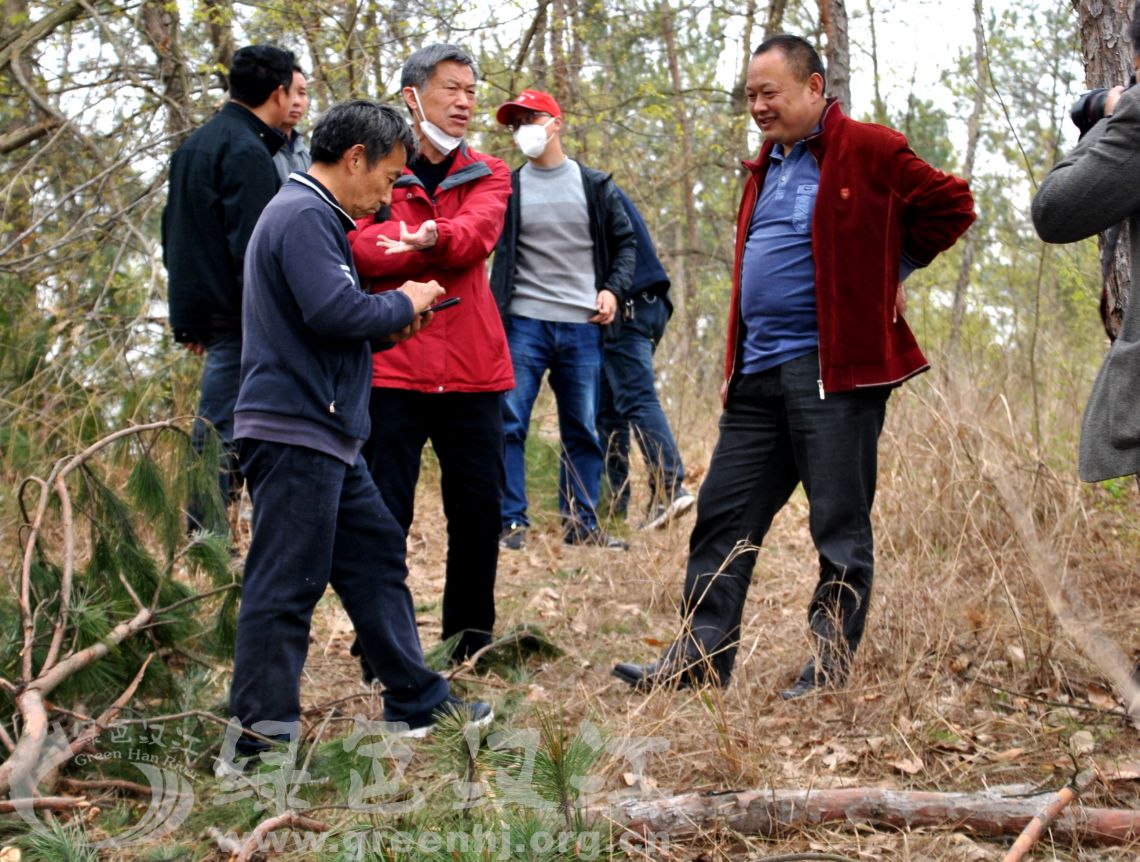 我会调研王成镇破坏生态事件