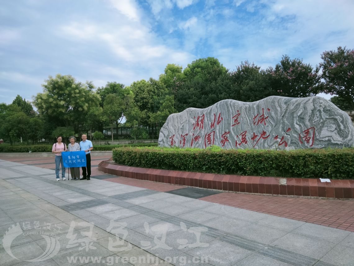 我会实地调研万洋洲和鲤鱼湖湿地