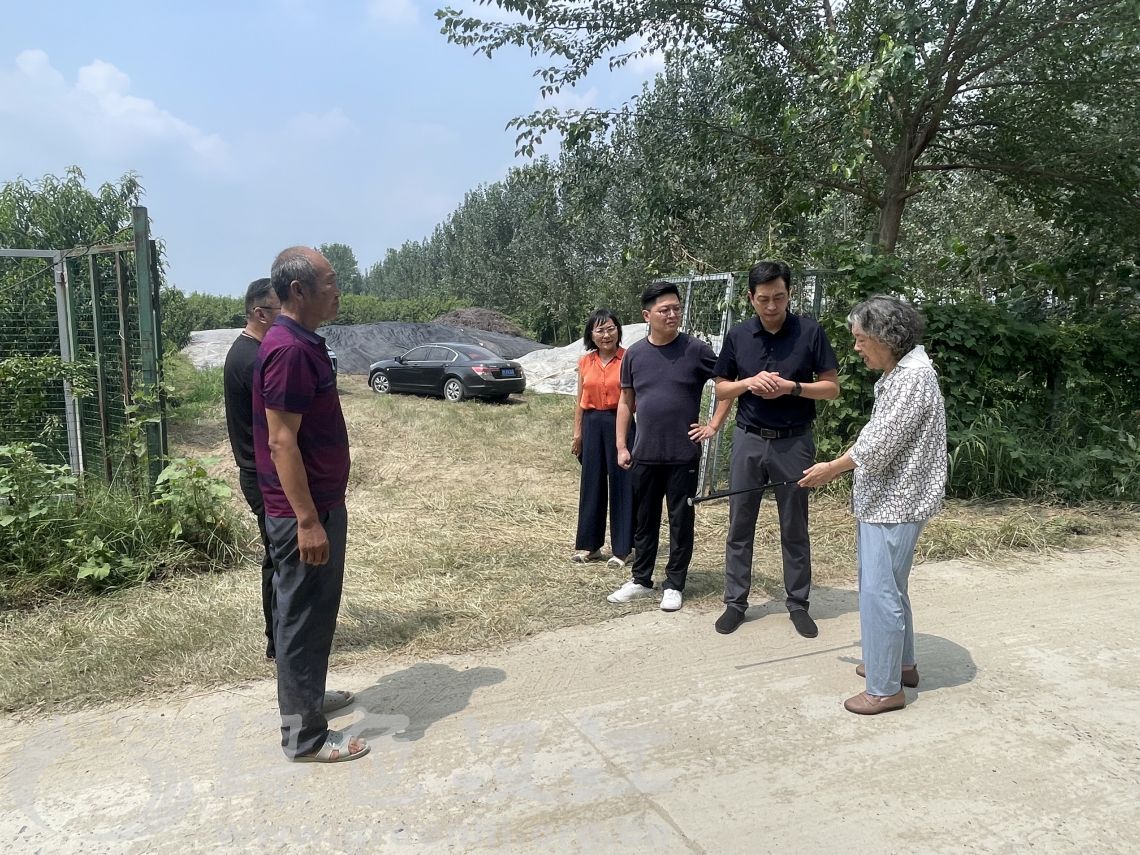 我会实地调研卧龙镇
