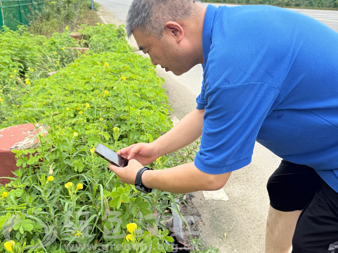 我会志愿者开展湿地“生物多样性”随手拍活动